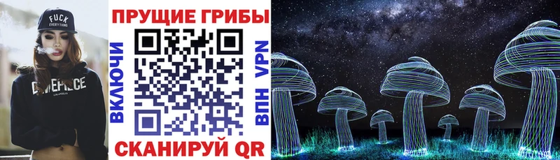 Псилоцибиновые грибы Cubensis  Отрадное 