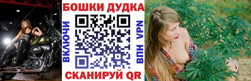Бошки Шишки планчик как найти Отрадное